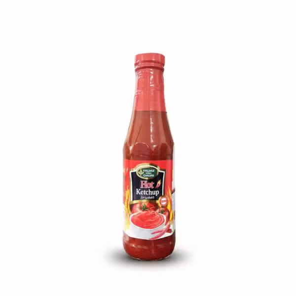 Virginia Green Garden Hot Ketchup 340gm Spicy Tomato Condiment