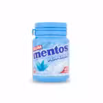 Mentos Peppermint Gum Sugarfree 40 Pieces