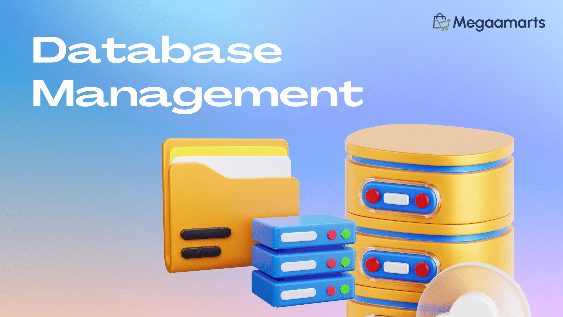 Database Management Data Organization Efficiency Megaamarts Bangladesh