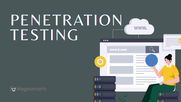 Penetration Testing Security Audit Vulnerability Assessment Megaamarts Bangladesh