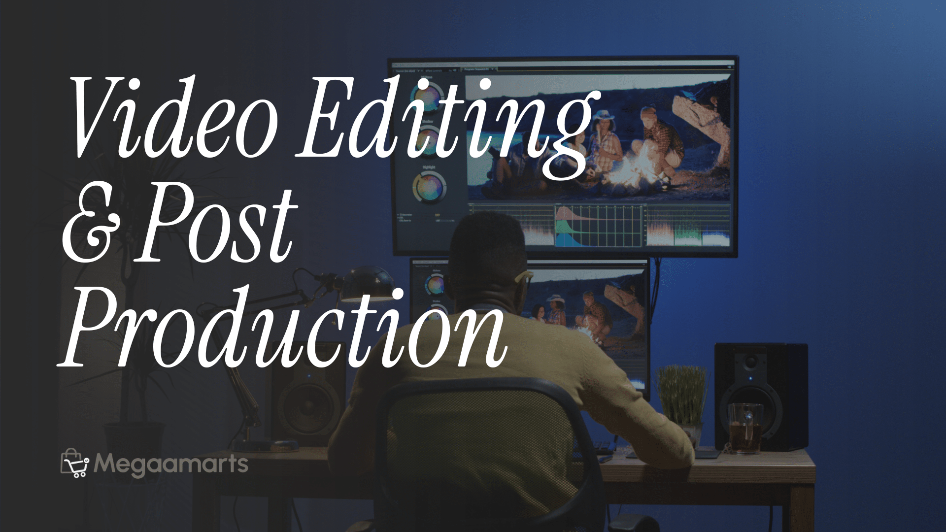 Video Editing & Post Production Professional Service Megaamarts Bangladesh